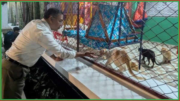 শ্বশুর বাড়িতে তারেক রহমান