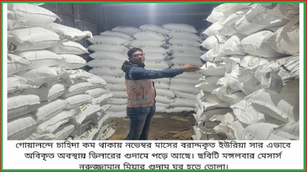 গোয়ালন্দে ডিলারের গুদামে নষ্ট হচ্ছে ইউরিয়া সার, ডিএপি'র জন্য হাহাকার