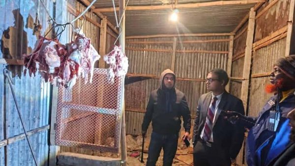 গোয়ালন্দে অসুস্থ পশু জবাই করে মাংস বিক্রির অভিযোগে ব্যবসা প্রতিষ্ঠান সিলগালা