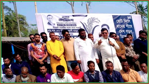 জামালপুর সদর-৫ আসনে ধানের শীষের মনোনীত এমপি প্রার্থী ওয়ারেছ আলী মামুনের নির্বাচনী প্রচারণা ও পথসভা