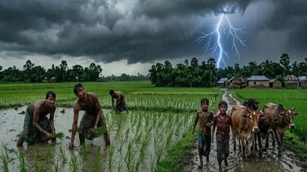 বজ্রপাতে ৭ জেলায় ১৪ জনের মৃত্যু