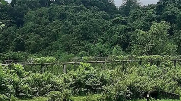 উখিয়া সীমান্তে মাইন বিস্ফোরণে রোহিঙ্গা যুবকের পা বিচ্ছিন্ন