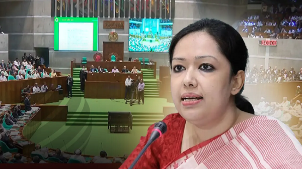 তেলের সংকট না থাকলে দাম বাড়াতে হলো কেন: রুমিন ফারহানা