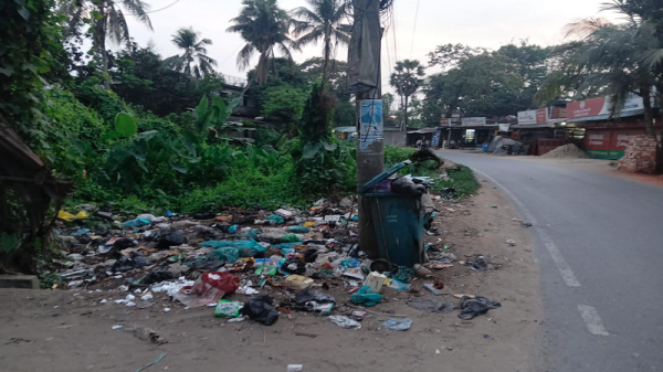 রাস্তার পাশে অসংখ্য ময়লার স্তূপ,দেখার কেউ নেই!