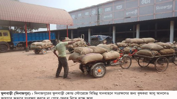 ফুলবাড়ীর হিমাগারে আলু সংরক্ষণ জায়গা নেই, আলু নিয়ে বিপাকে কৃষক
