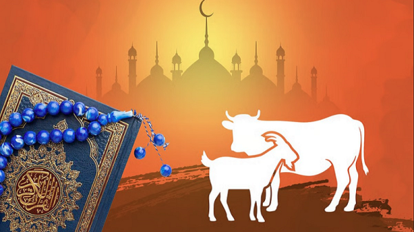 কোরবানির পশু জবাইয়ের সঠিক নিয়ম ও দোয়া
