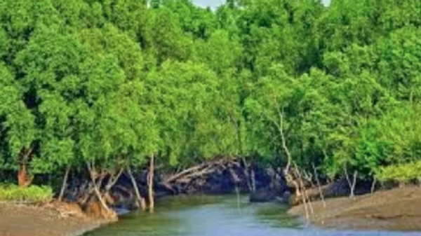 জীববৈচিত্র্য রক্ষায় ৩ মাস সুন্দরবনে প্রবেশে নিষেধাজ্ঞা, ১ জুন থেকে কার্যকর