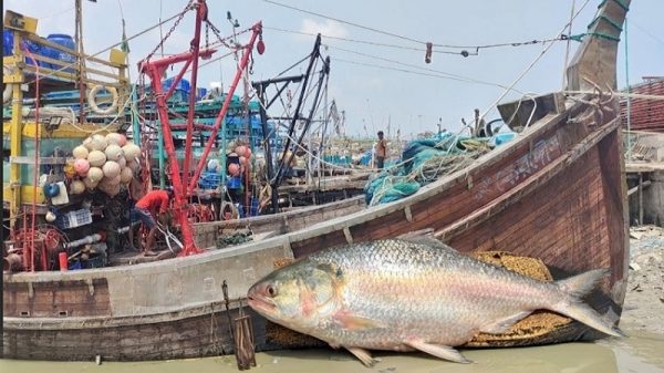 ঙ্গোপসাগরে মৎস্য সংকট, ধ্বংসের মুখে সুনীল অর্থনীতি, দায়ী অবৈধ ট্রলিং ও অব্যবস্থাপনা