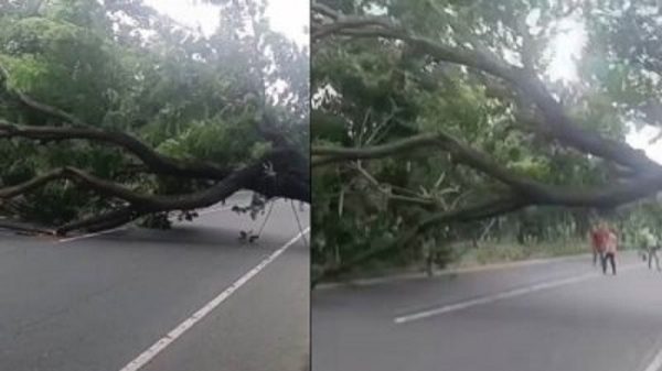 আসলাম চৌধুরীর প্রার্থিতা বাতিলের খবরে গাছ ফেলে মহাসড়ক অবরোধ
