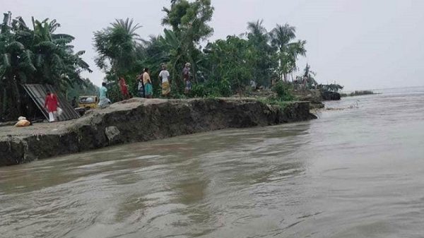 সিরাজগঞ্জে যমুনায় পানি বৃদ্ধির পাওয়ায় নতুন করে ভাঙন শুরু