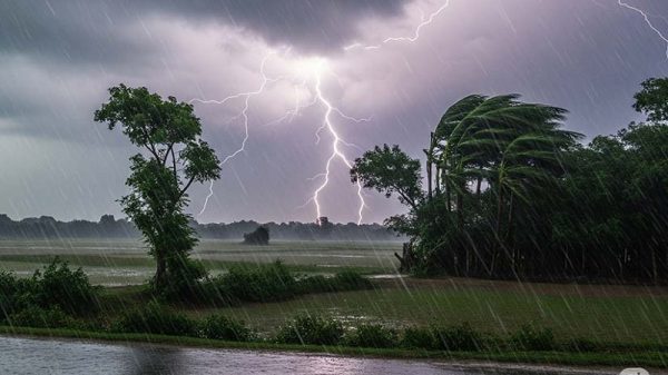 দেশের ৭ বিভাগে বজ্রসহ ভারী বৃষ্টির আভাস