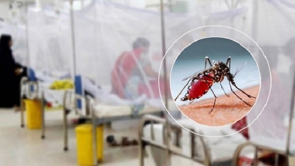 ডেঙ্গুতে আরও ৬ জনের মৃত্যু, হাসপাতালে ভর্তি ১৫৯৩