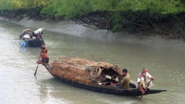 তিন মাস নিষেধাজ্ঞার পর খুলেছে সুন্দরবন