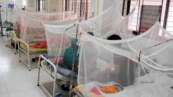 ডেঙ্গুতে একদিনে ৭ জনের মৃত্যু, হাসপাতালে ১৩৭৩