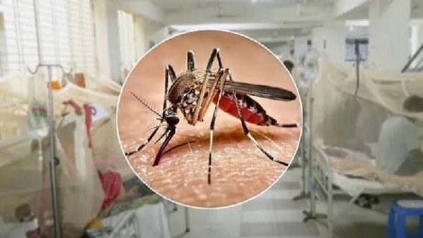 ডেঙ্গুতে আরও ৭ জনের মৃত্যু, হাসপাতালে ভর্তি ২২৪৯