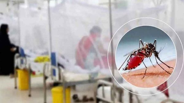 ডেঙ্গুতে একদিনে আরও ৯ জনের মৃত্যু, হাসপাতালে ভর্তি ১ হাজার ৯০২