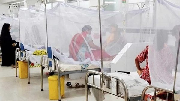 ডেঙ্গুতে ২৪ ঘণ্টায় ১১ জনের মৃত্যু, হাসপাতালে ভর্তি ২ হাজার ৭১