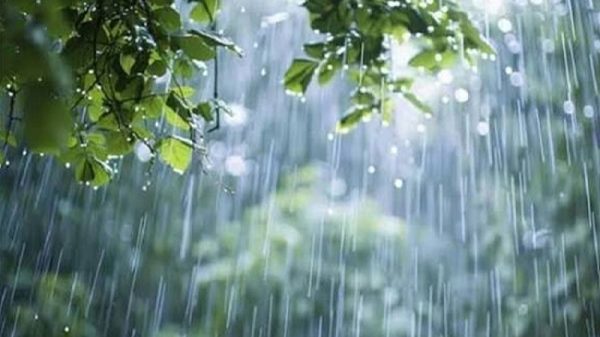 দেশের সব বিভাগে বৃষ্টির পূর্বাভাস, বেশি সম্ভাবনা যেসব অঞ্চলে